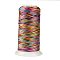 Segment Dyed Round Polyester Sewing Thread, for Hand & Machine Sewing, Tassel Embroidery, Colorful, 12-Ply, 0.8mm, about 300m/roll