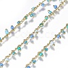 3.28 Feet Handmade Seed Beaded Chains X-CHC-N016-06C-1