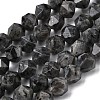 Natural Larvikite Beads Strands G-Z119-A32-03-3