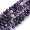 Natural Lepidolite/Purple Mica Stone Beads Strands X-G-K415-8mm-2