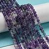Natural Fluorite Beads Strands G-K315-B01-01-1