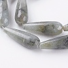 Natural Labradorite Beads Strands G-A175E-B13-3