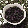 Spray Painted Glass Seed Beads SEED-F005-07A-03-2