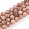 Natural Sunstone Beads Strands G-S345-10mm-23-1
