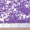 MIYUKI Delica Beads SEED-X0054-DB0660-4