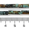 Natural African Turquoise(Jasper) Beads Strands G-D464-52-5