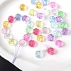 Transparent Acrylic Beads TACR-F008-09G-1