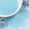 MIYUKI Round Rocailles Beads X-SEED-G007-RR0220-1