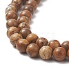 Natural Picture Jasper Round Bead Strands LS-G-G-P070-55-8mm-5