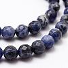 Natural Sodalite Beads Strands G-D840-19-8mm-3