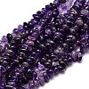Natural Amethyst Chip Beads Strands X-G-E271-123-1