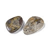 Natural Fossil Pendant G-Q164-16-2