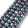 Natural Cultured Freshwater Pearl Beads Strands PEAR-Z002-24-1