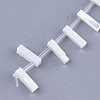 Natural Sea Shell Beads X-SHEL-T012-60I-2