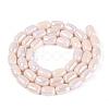 Electroplate Opaque Glass Beads Strands EGLA-Q132-03B-C02-2