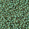 MIYUKI Round Rocailles Beads SEED-JP0008-RR0374-3