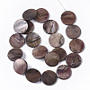 Freshwater Shell Beads Strands SHEL-T014-011-3