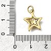 Brass Micro Pave Cubic Zirconia Charms X-KK-C090-25G-3