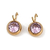 Ion Plating(IP) 304 Stainless Steel Micro Pave Cubic Zirconia Charms STAS-Z094-02G-07-1
