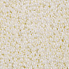 11/0 FGB Grade A Ceylon Glass Seed Beads X-SEED-N001-B-0481-2