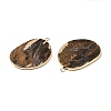 Natural Tiger Eye Pendants G-E526-09H-6