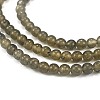 Natural Labradorite Beads Strands G-M438-A01-01-3