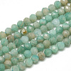 Natural Russia Amazonite Beads Strands G-S300-13-3mm-1