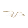 316 Surgical Stainless Steel Earring Hooks STAS-Z124-02C-G-2