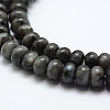 Natural Larvikite Beads Strands X-G-G665-06-6x4mm-3