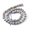 Natural Labradorite Beads Strands X-G-G212-8mm-23-8