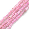 Natural Freshwater Shell Beads Strands SHEL-G013-02A-1