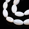 Natural Freshwater Shell Beads Strands SHEL-N026-212-A01-2