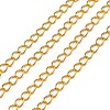 Iron Twisted Chains CH-0.8DK-G-1