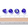 Handmade Lampwork Beads X-DT249J-3-6