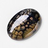 Natural Dragon Veins Agate Cabochons X-G-F296-05-22x30mm-2