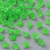 Transparent Acrylic Beads PL554-13-1