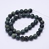 Natural Kambaba Jasper Beads Strands G-D744-10mm-2