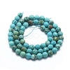 Natural Howlite Beads Strands X-G-D0012-01B-2