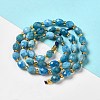 Natural Apatite Beads Strands G-H297-C03-01-2
