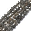 Natural Grey Moonstone Beads Strands G-K245-A05-02-1