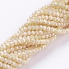Electroplate Glass Beads Strands GLAA-F078-FR08-1