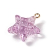 Transparent Resin Pendants RESI-Z016-02C-LG-2