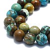 Natural Turquoise Beads Strands G-K245-A16-05-3