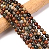 Natural New Ocean Jasper Bead Strands G-G954-01-8mm-1