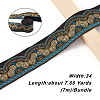 Ethnic Style Embroidery Polyester Ribbons SK-TAC0001-02-3