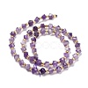 Natural Chevron Amethyst Beads Strands G-P463-13-3
