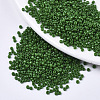 Baking Paint Glass Seed Beads SEED-S042-05A-04-1