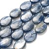 Natural Kyanite Beads Strands G-H335-D01-10x14mm-2
