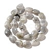 Natural Labradorite Beads Strands G-I377-A21-3