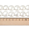 Electroplated Shell Pearl Beads Strands BSHE-G027-13D-5